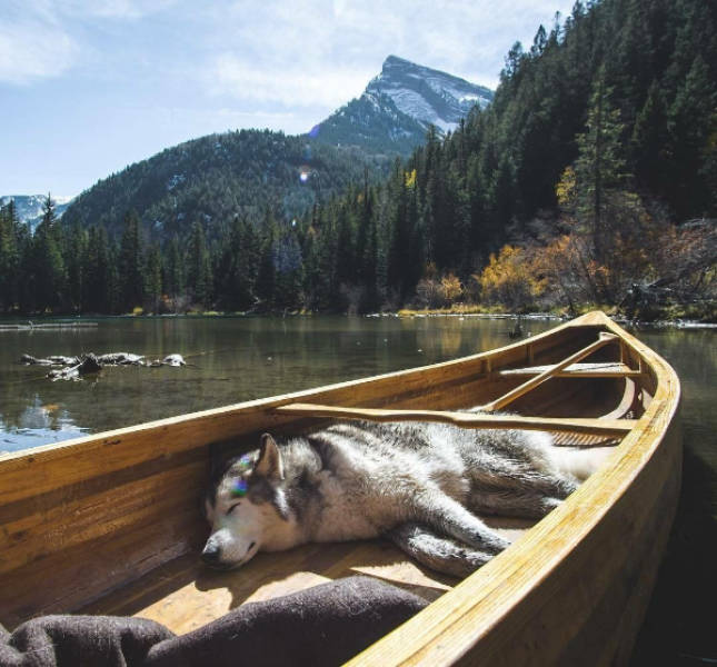 Uniquely Beautiful Moments Caught on Camera