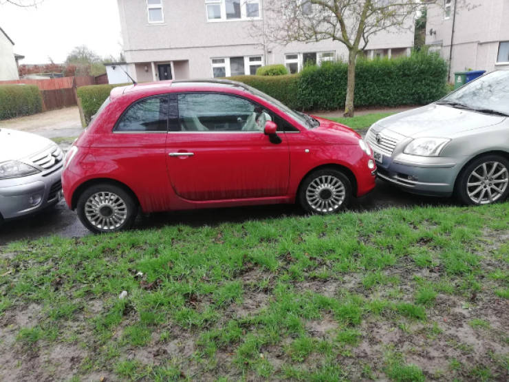 Drivers Who Clearly Skipped the Thinking Part