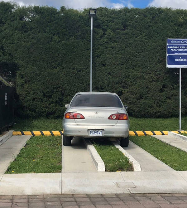 Drivers Who Clearly Skipped the Thinking Part