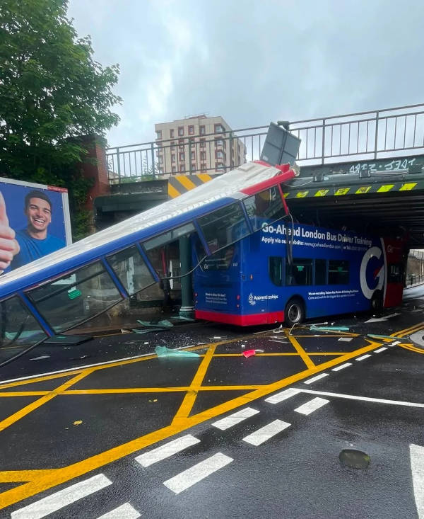 Drivers Who Clearly Skipped the Thinking Part