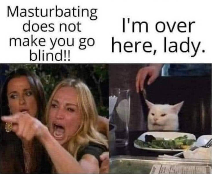 These Memes Don’t Know Much — But They’re Right