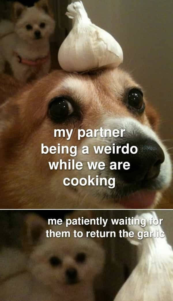 Flirty Memes to Send to Your Better Half