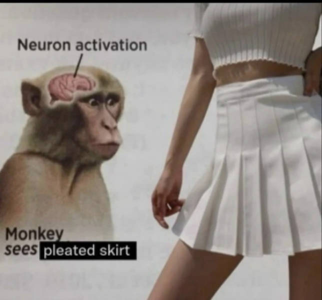 A Chaotic Mix of Internet Memes