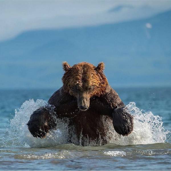 Daily Picdump