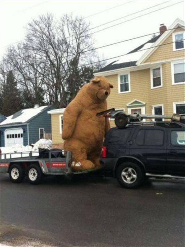 Daily Picdump