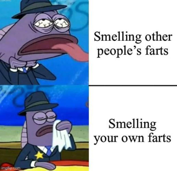 So Dank It Should Be Illegal