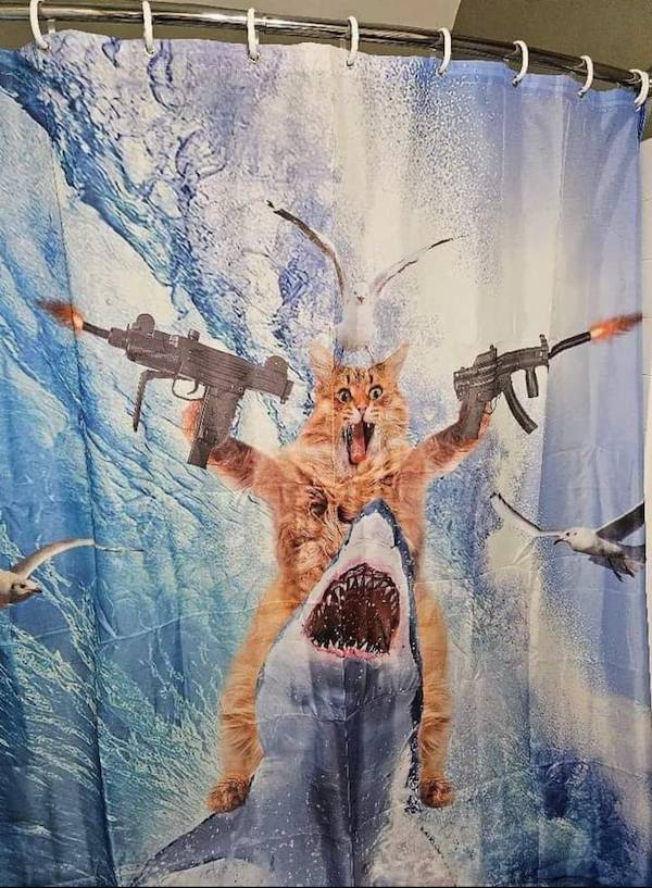 Daily Picdump