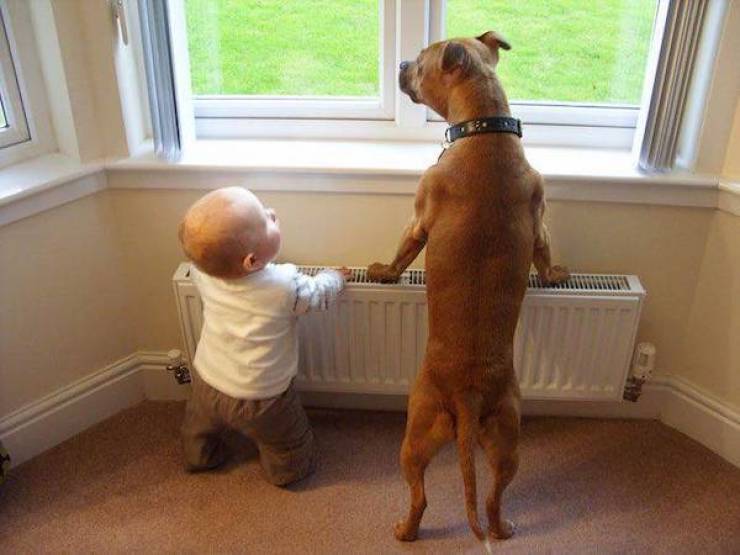 Daily Picdump