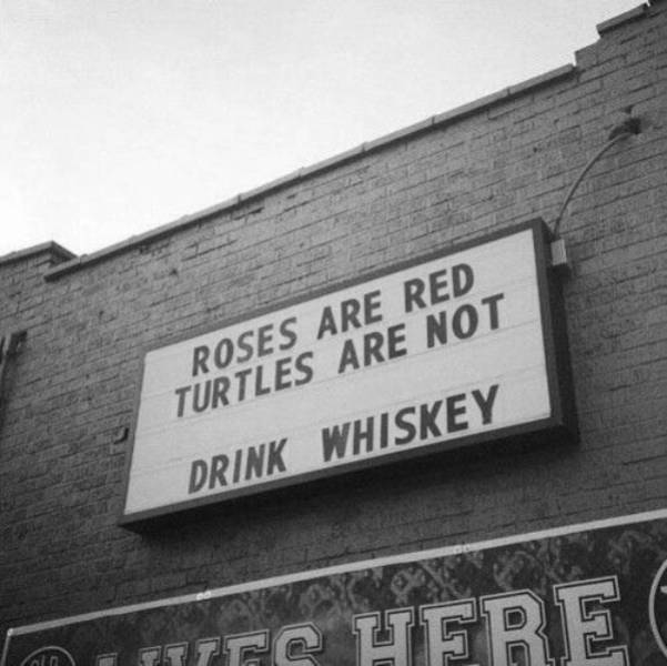 Drinking Never Ends!