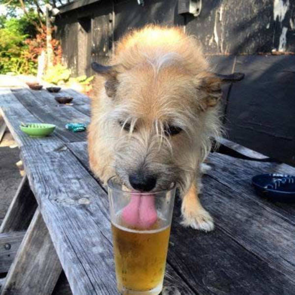 Drinking Never Ends!