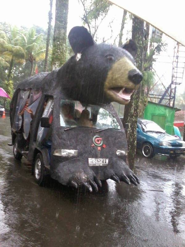 Daily Picdump