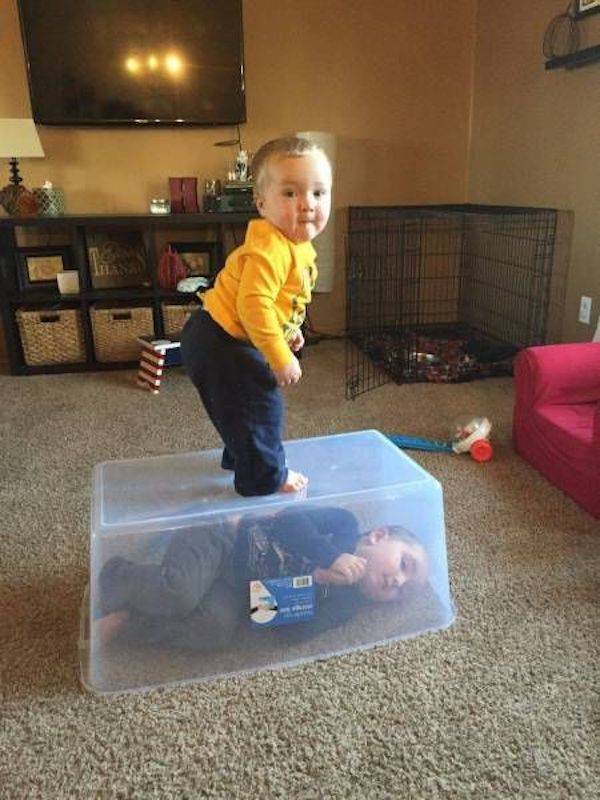 Daily Picdump