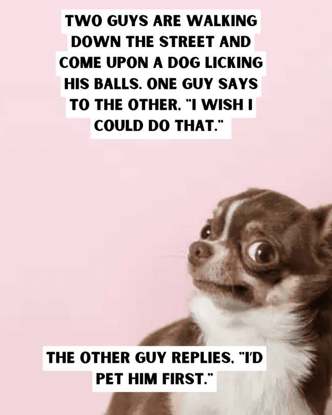 Dirty Jokes + Stock Images = A Fun Time