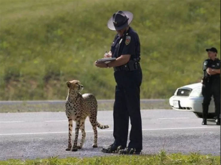 Daily Picdump