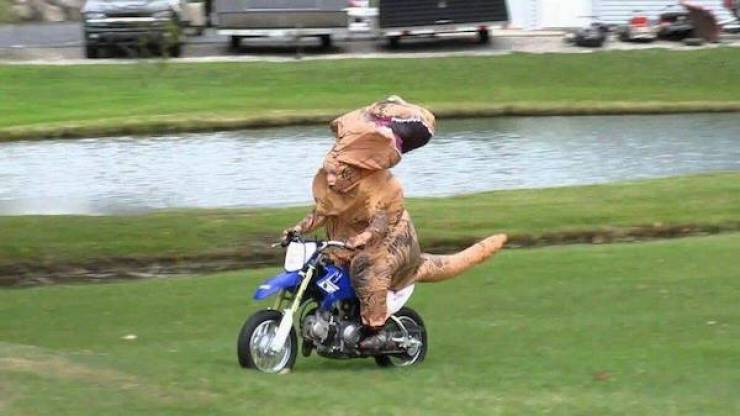 Daily Picdump
