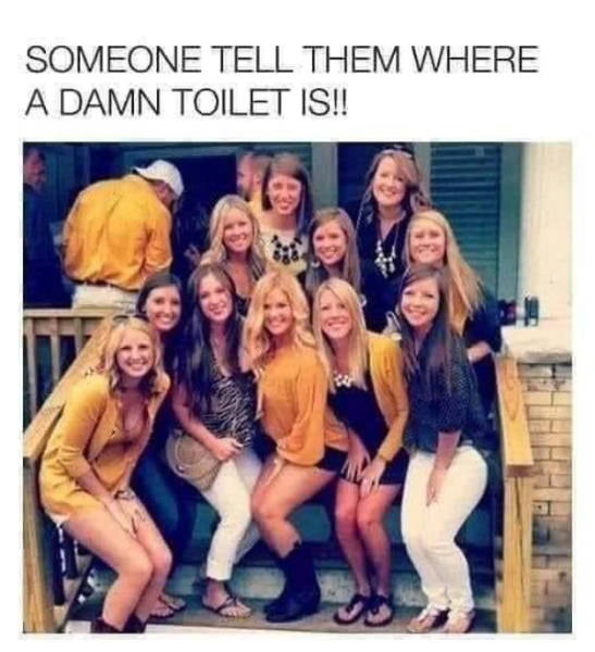 Pure, Unfiltered Dank Memes