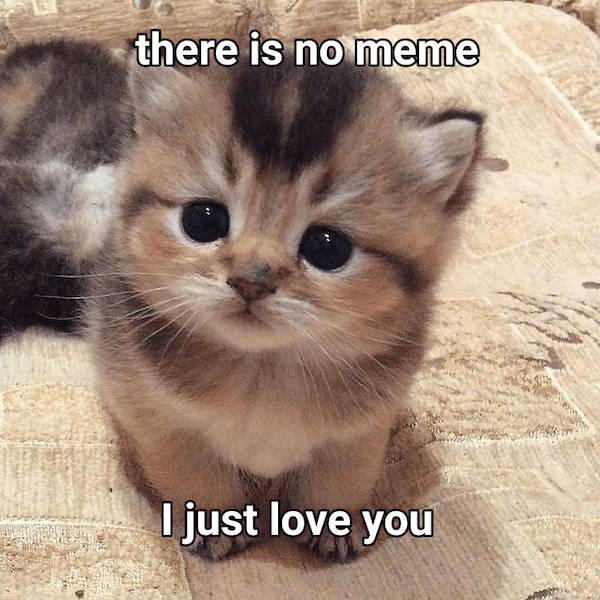 Flirty Memes To Annoy Your Better Half