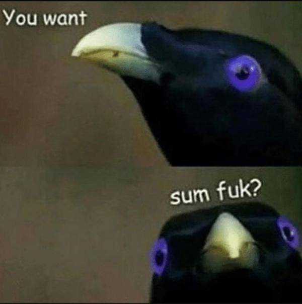 Flirty Memes To Annoy Your Better Half