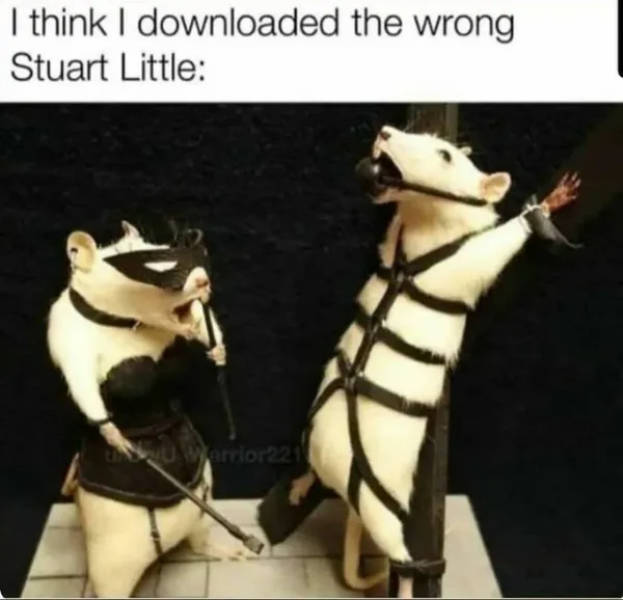 Whoa Whoa Whoa… HOLD UP!