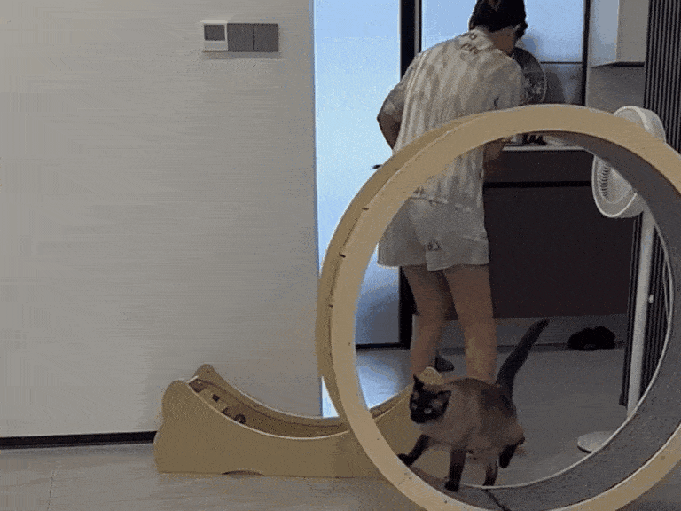 Daily Gifdump