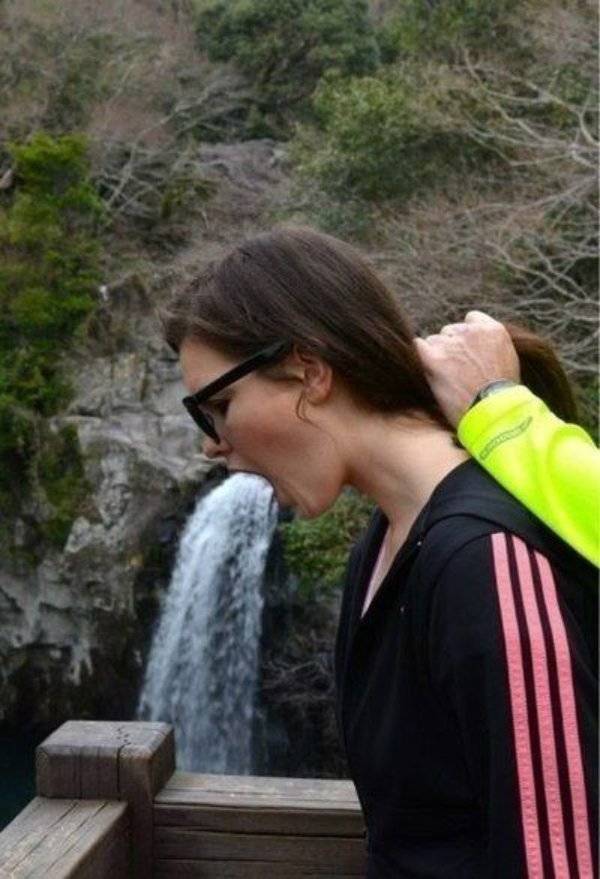 Daily Picdump
