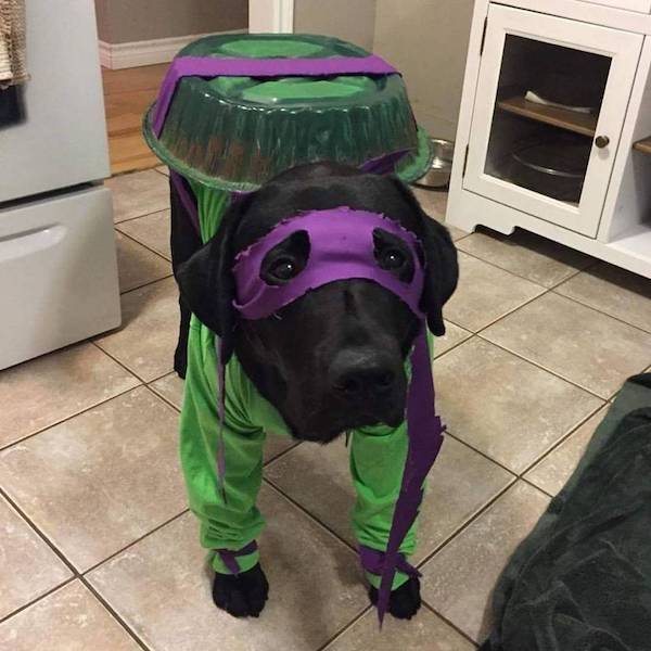 Daily Picdump