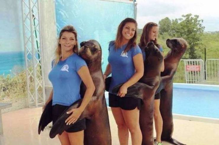 Daily Picdump