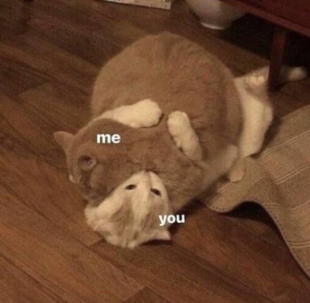 Flirty Memes To Annoy Your Better Half
