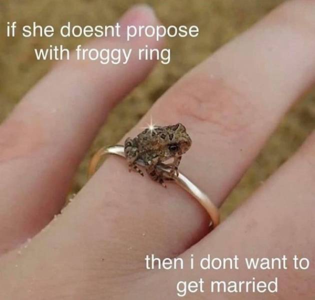 Flirty Memes To Annoy Your Better Half