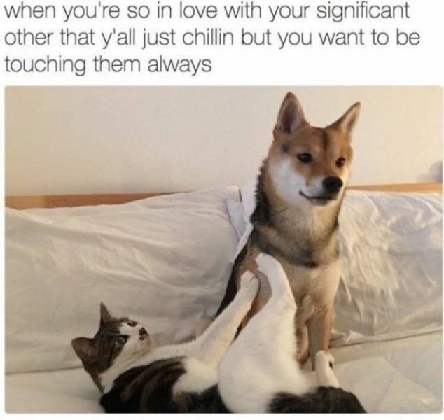 Flirty Memes To Annoy Your Better Half