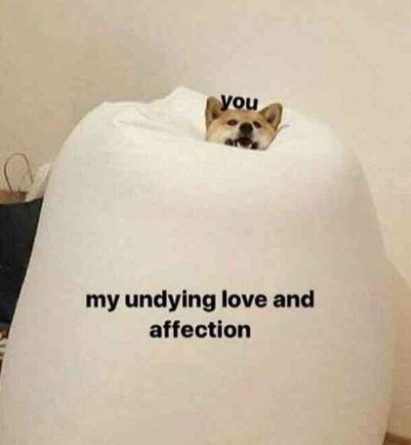 Flirty Memes To Annoy Your Better Half