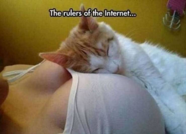 The Power Of Boobs