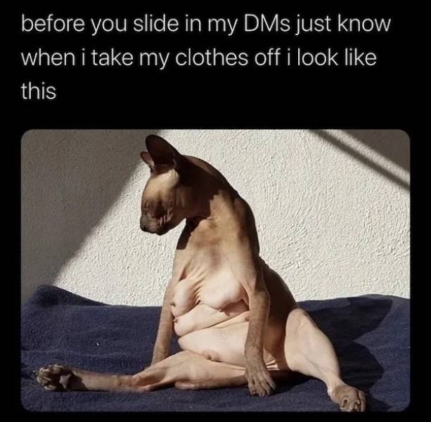Dirty Minds Are Welcome!