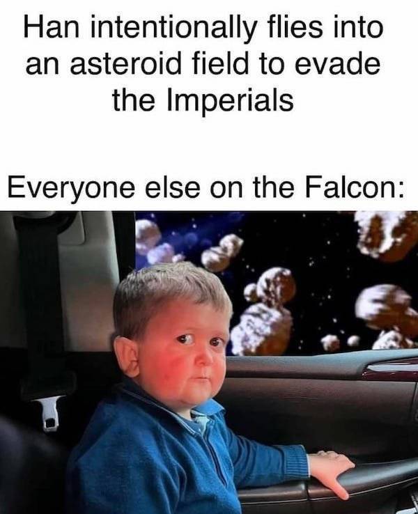 Beer-a-FULL memes for day Drinking