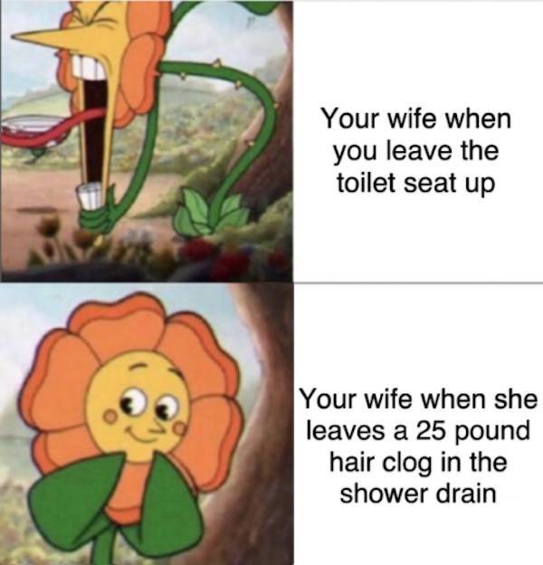 Beer-a-FULL memes for day Drinking