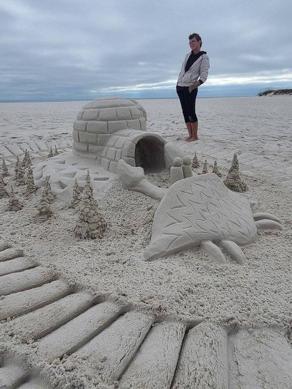 Daily Picdump
