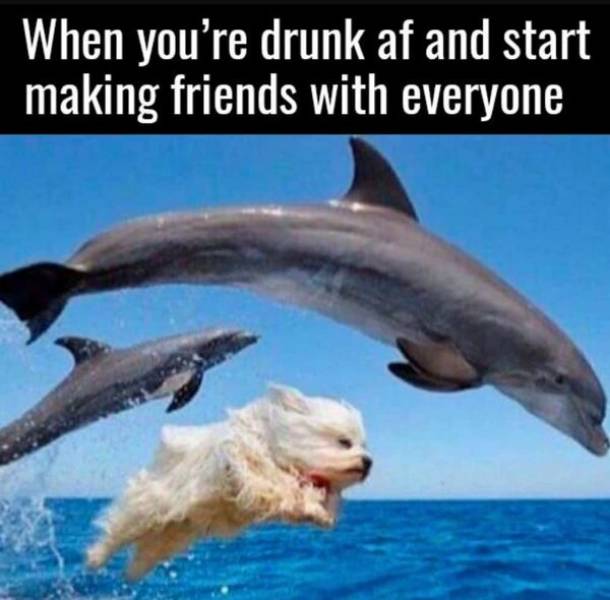 Drinking Memes to Help Soothe your Hangover