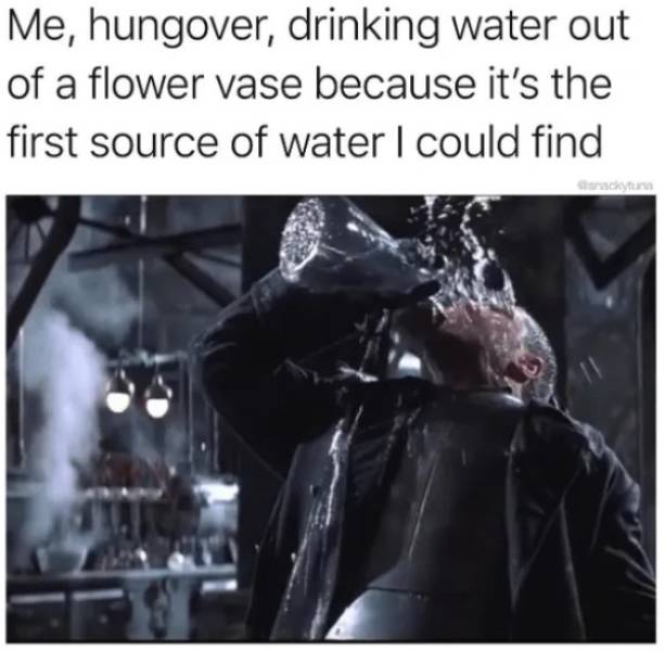 Drinking Memes to Help Soothe your Hangover