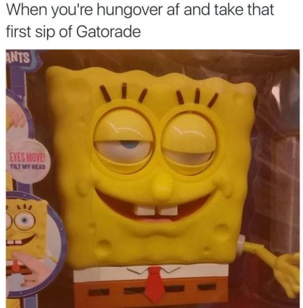 Drinking Memes to Help Soothe your Hangover