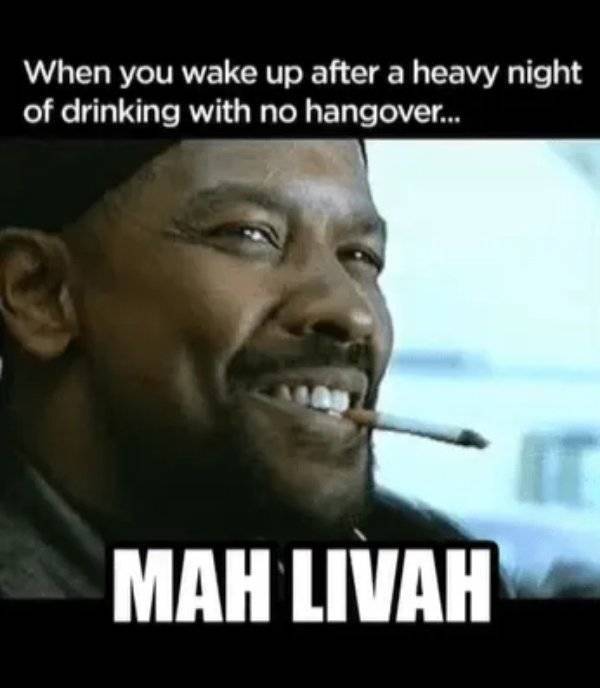 Drinking Memes to Help Soothe your Hangover