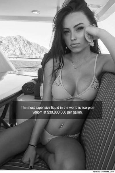 It’s Scientifically Proven That Hot Girls Improve Your Understanding Of Interesting Facts