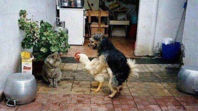 Daily Picdump