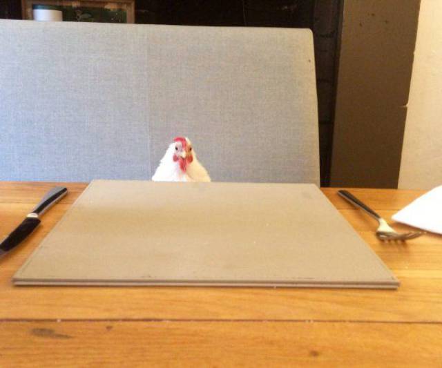 Daily Picdump