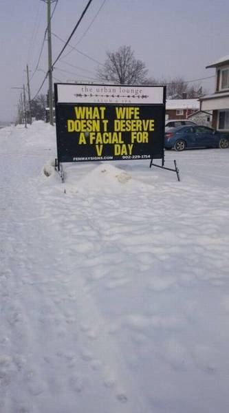 Daily Picdump