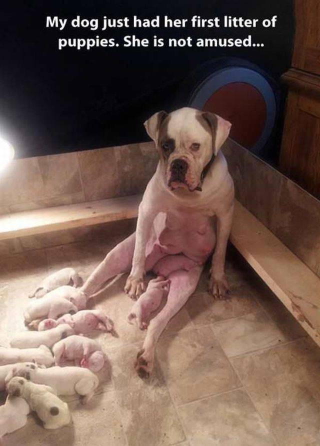 Daily Picdump