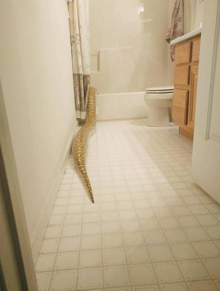 Daily Picdump