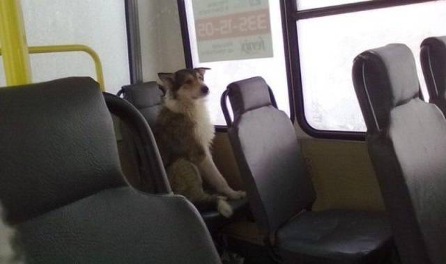 Daily Picdump