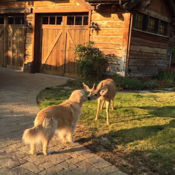 Daily Picdump