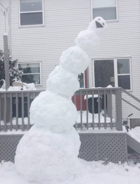 Daily Picdump [WEEKEND EDITION]