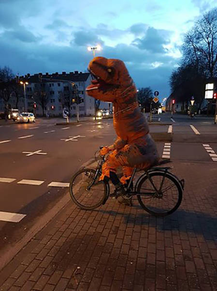 Daily Picdump [WEEKEND EDITION]